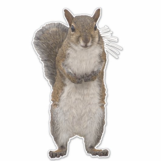 Hast du Nüsse? Aufkleber (Vorderseite)