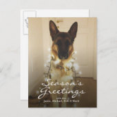 Hast du Santa Paws gesagt? Feiertagspostkarte (Vorne/Hinten)