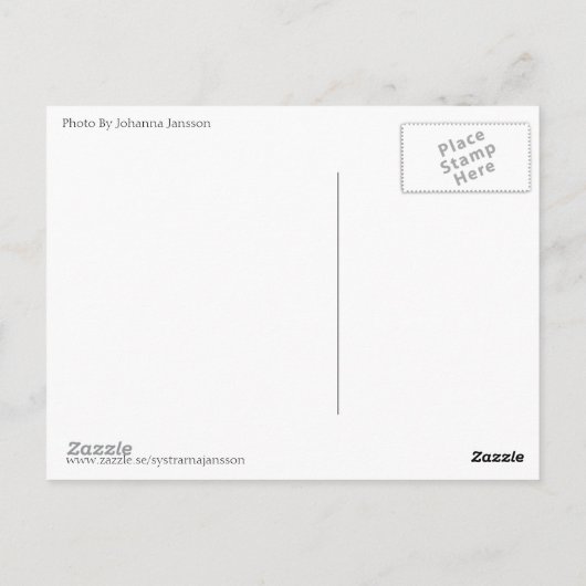 Häst Horse Postkarte (Rückseite)