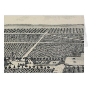 Hastie Vineyard, Kalifornien