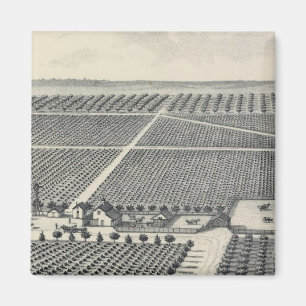 Hastie Vineyard, Kalifornien Magnet