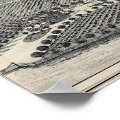 Hastie Vineyard, Kalifornien Poster (Ecke)