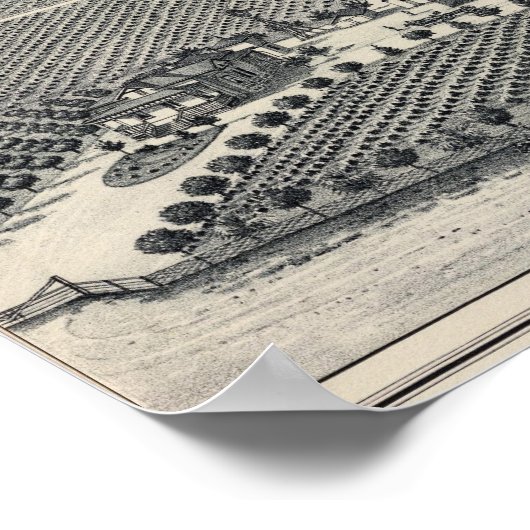 Hastie Vineyard, Kalifornien Poster (Ecke)