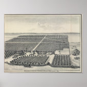 Hastie Vineyard, Kalifornien Poster (Vorne)