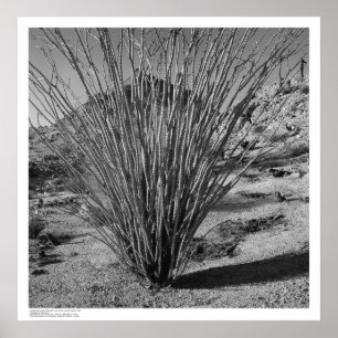 Hastings Naturgeschichte-Reservierung Poster