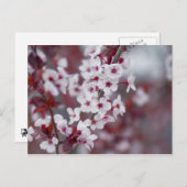 Hat jemand etwas Buch bestellt? Postkarte (Vorne/Hinten)