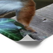 Hat jemand meine Nüsse gesehen? Poster (Ecke)