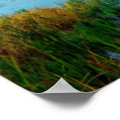 Hat Lake In Lassen Volcanic National Park Poster (Ecke)