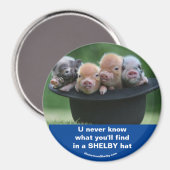 Hat Magnet (Vorderseite/Rückseite)