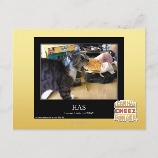 hat postkarte (Vorderseite)