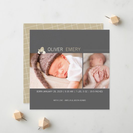 Hatched Ei Baby Chick Foto Geburtsankündigung Ankündigung (Vorderseite/Rückseite Beispiel)