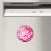 Hatched Pink Peony Magnet (In Situ (Geschirrspüler))