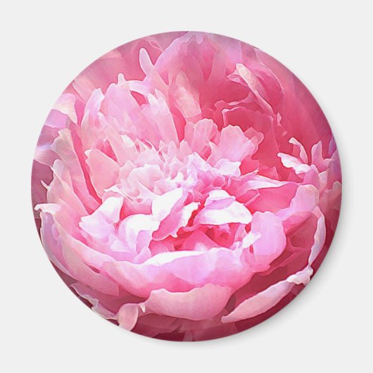 Hatched Pink Peony Magnet (Vorne)