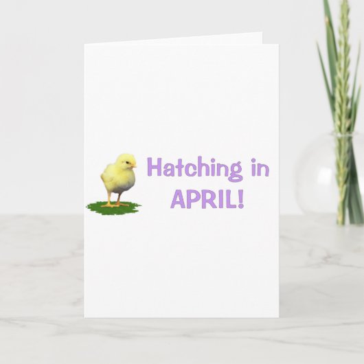 Hatching im April! Mutterschaft/Schwangerschaft im Ankündigung (Vorderseite)