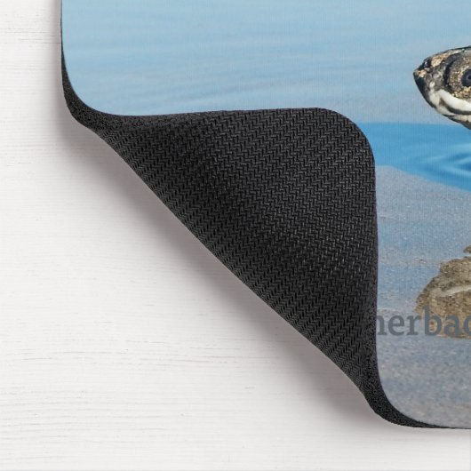 Hatchling Mousepad (Ecke)