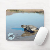 Hatchling Mousepad (Mit Mouse)