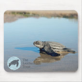 Hatchling Mousepad (Vorne)