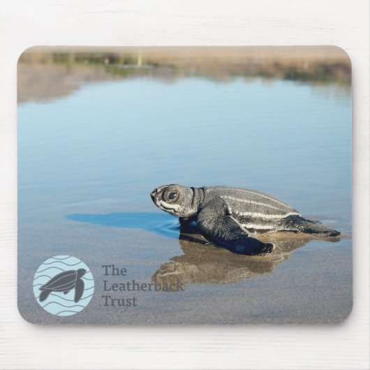 Hatchling Mousepad (Vorne)