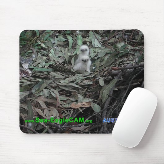 Hatchlings S1 u. S2 Mousepad horizontal (Mit Mouse)