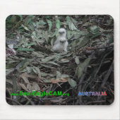 Hatchlings S1 u. S2 Mousepad horizontal (Vorne)