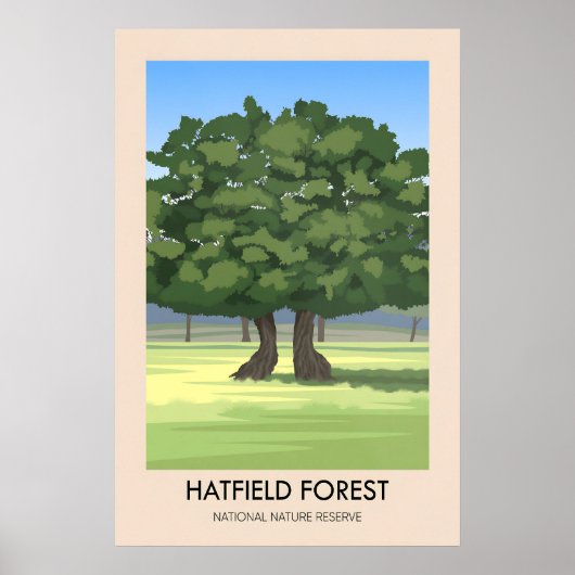 Hatfield Forest Reiseposter Poster (Vorne)