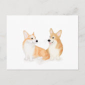 Hatie & Leah niedlich Pembroke Welsh Corgis Postca Postkarte (Vorderseite)