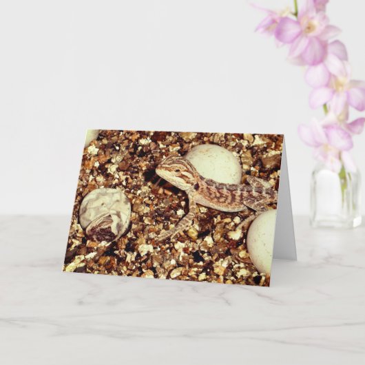 Hatsch Barta Karte (Orchidee)