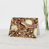 Hatsch Barta Karte (Vorderseite)