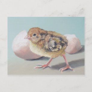 Hatted Chick Bird Art Postcard Postkarte