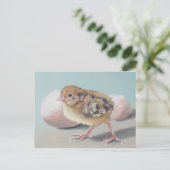 Hatted Chick Bird Art Postcard Postkarte (Stehend Vorderseite)