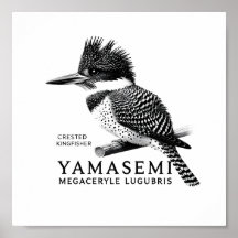 Hauben-Eisvogel Schwarz-Weiß-Kunstposter