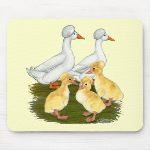 Haubenentenfamilie Mousepad