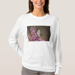Haubenmeise, Baeolophus T-Shirt