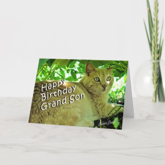 Hauch-Verstecken Karte (Vorderseite)