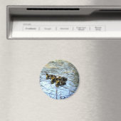 Haufen Baby Ducks Magnet (In Situ (Geschirrspüler))