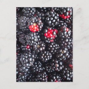 Haufen BlackBerry Postkarte