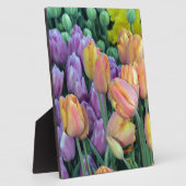 Haufen farbiger Tulpen Fotoplatte (Seite)
