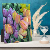 Haufen farbiger Tulpen Fotoplatte (Seite)