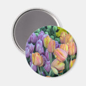 Haufen farbiger Tulpen Magnet (Vorderseite/Rückseite)