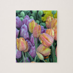 Haufen farbiger Tulpen Puzzle