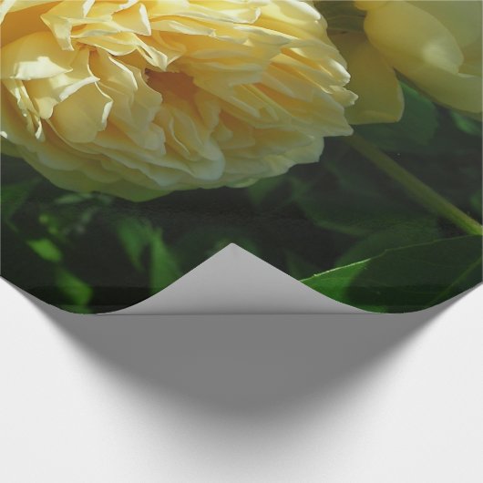 Haufen Gelben Rosen Geschenkpapier (Ecke)