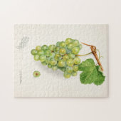 Haufen Grüne Trauben Fruchtfarben Puzzle (Horizontal)