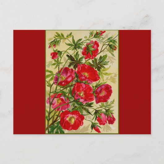 Haufen roter Blume Postkarte (Vorderseite)