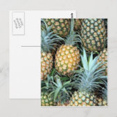 Haufen tropisch-hawaiianische Ananas Postkarte (Vorne/Hinten)