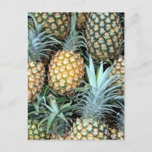 Haufen tropisch-hawaiianische Ananas Postkarte (Vorderseite)