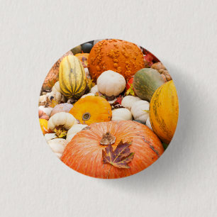 Haufen von Kürbissen und Squash Button