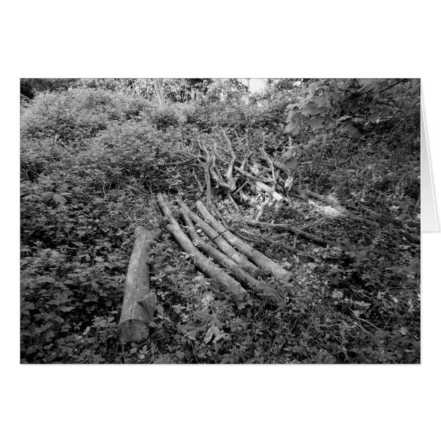 Haufenbaum (Vorderseite (Horizontal))