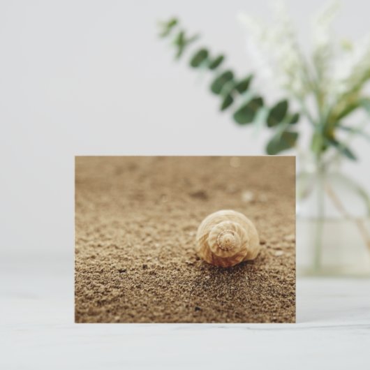 Häufig | Botany Bay Postkarte (Stehend Vorderseite)