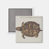 Häufig Box Tortoise Magnet (Vorderseite/Rückseite)