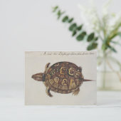 Häufig Box Tortoise Postkarte (Stehend Vorderseite)